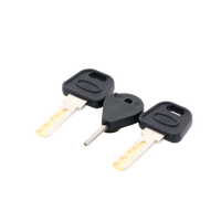 Llave de Puerta de Estación de Panico DS-PEA3M-21 / DS-PEA3M-21H (Repuesto)