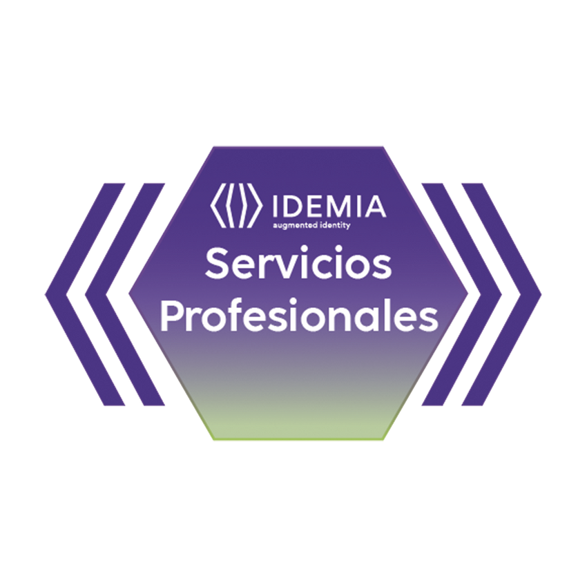 REMOTE ASSISTANCE JUNIOR 4 HORAS