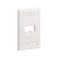 Placa de Pared Vertical Clásica, Salida Para 2 Puertos Mini-Com, Con Espacios Para Etiquetas, Color Blanco Mate