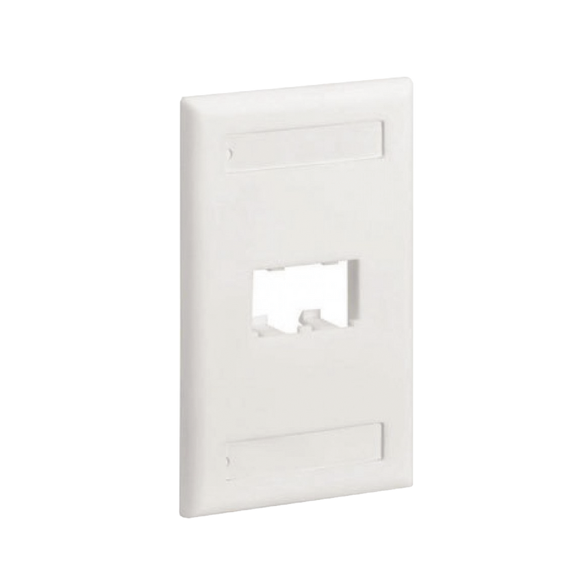 Placa de Pared Vertical Clásica, Salida Para 2 Puertos Mini-Com, Con Espacios Para Etiquetas, Color Blanco