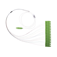Divisor Óptico (Splitter) Tipo PLC, de 1x16, Con Conector de Entrada SC/APC y Conectores de Salida SC/APC