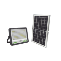 Reflector de  100 W con Panel Solar /  Batería 3.2  V CD / T.C.C. 6 500 K / IP65.