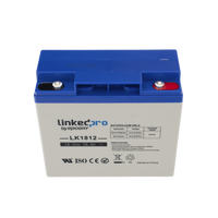 Batería 12 V / 18 Ah / UL / Tecnología AGM / Vida útil promedio de 5 años / Para uso en equipo electrónico, Alarmas de Intrusión / Incendio/ Control de acceso / Video Vigilancia / Terminales T1