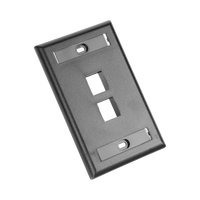 Placa de Pared Vertical, Salida Para 2 Puertos Keystone, Con Espacios Para Etiquetas, Color Negro