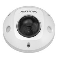 Cámara Domo Móvil 2MP / WDR 120 dB / Lente 2/2.8/4/6 mm / Resistente al Agua y Polvo (IP67) / Antivandálica (IK10) / IR 30 m