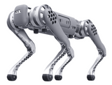 Robots