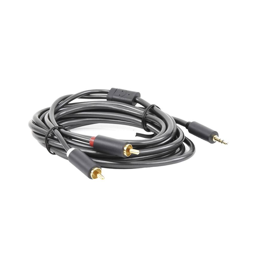 Cable Adaptador de 3.5mm Macho a 2 RCA Macho / 3 Metros (9.84 Pies) / Color Gris / Blindaje M�ltiple / ABS / Alta Calidad