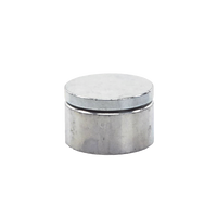 87G - Bisagra o Tejuelo Grande Para Puertas Batientes de Hasta 650 Kg