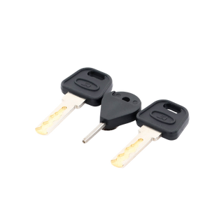 Llave de Puerta de Estación de Panico DS-PEA3M-21 / DS-PEA3M-21H﻿ (Repuesto)