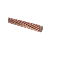 100 m / 10 AWG / Cable Eléctrico / Cobre Desnudo