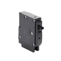 Interruptor Termomagnético Enchufable, Serie: B2Q, 1P, 30A, 120/240V (SKU:1002265)