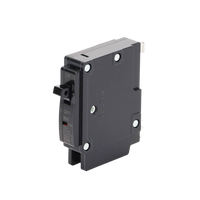 Interruptor Termomagnético Enchufable, Serie: B2Q, 1P, 30A, 120/240V (SKU:1002265)