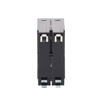 Interruptor Termomagnético Enchufable, Serie: B2Q, 2P, 30A, 240V (SKU:1002281)