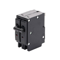 Interruptor Termomagnético Enchufable, Serie: B2Q, 2P, 30A, 240V (SKU:1002281)