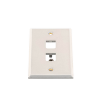 Placa de Pared Vertical, de Acero Inoxidable, Salida Para 2 Puertos Mini-Com