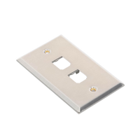 Placa de Pared Vertical, de Acero Inoxidable, Salida Para 2 Puertos Mini-Com