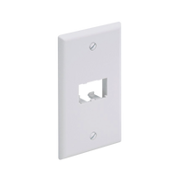 Placa de Pared Vertical Clásica, Salida Para 2 Puertos Mini-Com, Color Blanco