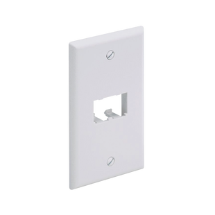 Placa de Pared Vertical Clásica, Salida Para 2 Puertos Mini-Com, Color Blanco