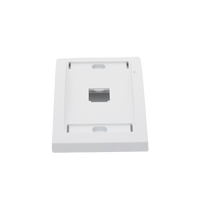 Placa de Pared Vertical Ejecutiva, Salida Para 1 Puerto Mini-Com, Con Espacios Para Etiquetas, Color Blanco