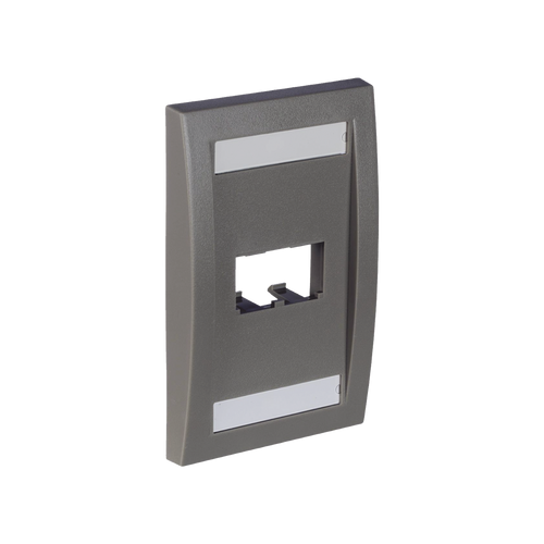 Placa de Pared Vertical Ejecutiva, Salida Para 2 Puertos Mini-Com, Con Espacios Para Etiquetas, Color Gris