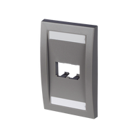 Placa de Pared Vertical Ejecutiva, Salida Para 2 Puertos Mini-Com, Con Espacios Para Etiquetas, Color Gris