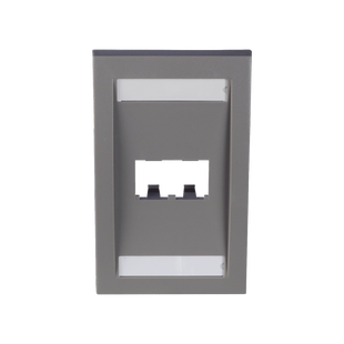 Placa de Pared Vertical Ejecutiva, Salida Para 2 Puertos Mini-Com, Con Espacios Para Etiquetas, Color Gris