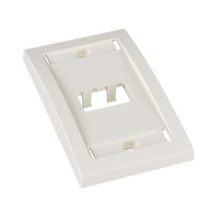 Placa de Pared Vertical Ejecutiva, Salida Para 2 Puertos Mini-Com, Con Espacios Para Etiquetas, Color Blanco Mate
