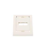 Placa de Pared Vertical Ejecutiva, Salida Para 2 Puertos Mini-Com, Con Espacios Para Etiquetas, Color Blanco Mate