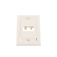 Placa de Pared Vertical Ejecutiva, Salida Para 2 Puertos Mini-Com, Con Espacios Para Etiquetas, Color Blanco Mate