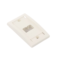 Placa de Pared Vertical Ejecutiva, Salida Para 2 Puertos Mini-Com, Con Espacios Para Etiquetas, Color Blanco Mate