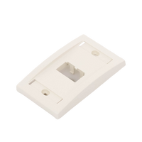 Placa de Pared Vertical Ejecutiva, Salida Para 2 Puertos Mini-Com, Con Espacios Para Etiquetas, Color Blanco Mate