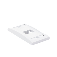 Placa de Pared Vertical Ejecutiva, Salida Para 2 Puertos Mini-Com, Con Espacios Para Etiquetas, Color Blanco