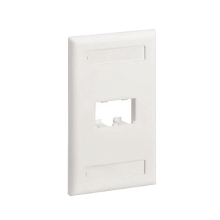 Placa de Pared Vertical Clásica, Salida Para 2 Puertos Mini-Com, Con Espacios Para Etiquetas, Color Blanco Mate