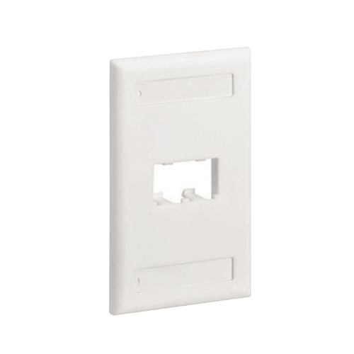 Placa de Pared Vertical Clásica, Salida Para 2 Puertos Mini-Com, Con Espacios Para Etiquetas, Color Blanco Mate