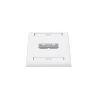 Placa de Pared Vertical Clásica, Salida Para 2 Puertos Mini-Com, Con Espacios Para Etiquetas, Color Blanco