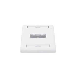 Placa de Pared Vertical Clásica, Salida Para 2 Puertos Mini-Com, Con Espacios Para Etiquetas, Color Blanco