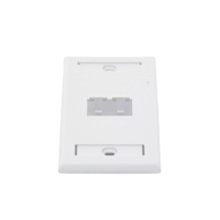 Placa de Pared Vertical Clásica, Salida Para 2 Puertos Mini-Com, Con Espacios Para Etiquetas, Color Blanco