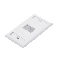 Placa de Pared Vertical Clásica, Salida Para 2 Puertos Mini-Com, Con Espacios Para Etiquetas, Color Blanco