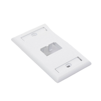 Placa de Pared Vertical Clásica, Salida Para 2 Puertos Mini-Com, Con Espacios Para Etiquetas, Color Blanco