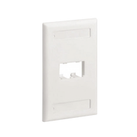 Placa de Pared Vertical Clásica, Salida Para 2 Puertos Mini-Com, Con Espacios Para Etiquetas, Color Blanco