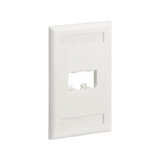 Placa de Pared Vertical Clásica, Salida Para 2 Puertos Mini-Com, Con Espacios Para Etiquetas, Color Blanco