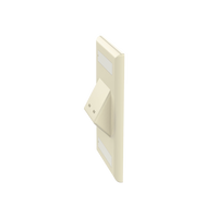 Placa de Pared Vertical Clásica, Salida Para 2 Puertos Mini-Com Inclinados, Con Espacios Para Etiquetas, Color Marfil
