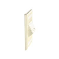 Placa de Pared Vertical Clásica, Salida Para 2 Puertos Mini-Com Inclinados, Con Espacios Para Etiquetas, Color Marfil