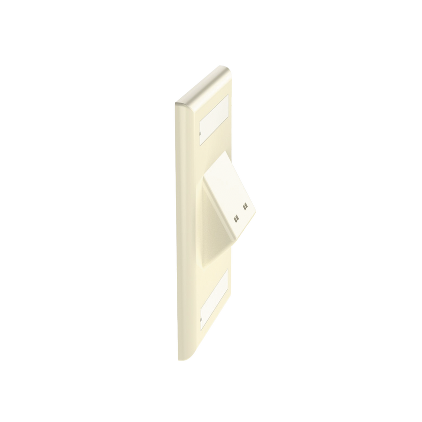 Placa de Pared Vertical Clásica, Salida Para 2 Puertos Mini-Com Inclinados, Con Espacios Para Etiquetas, Color Marfil