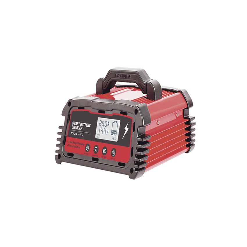 Cargador de Baterías / 12 o 24 Vcc / hasta 250 Ah / 25 A / Display LCD