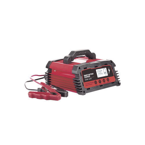 Cargador de Baterías / 12 o 24 Vcc / hasta 250 Ah / 25 A / Display LCD