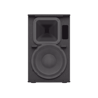 Altavoz Amplificado 10 in | Potencia: 700w | Amplificacion Clase-D | Hecho en Madera | Para aplicaciones de Instalacion y Refuerzo Sonoro