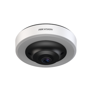 Fisheye IP 12 Megapixel (4K) / Para Detección de Espacios de Estacionamiento / 16 Espacios Ocupados o Libres / Interior  / PoE / Color Azul y Rojo /  IA Integrado