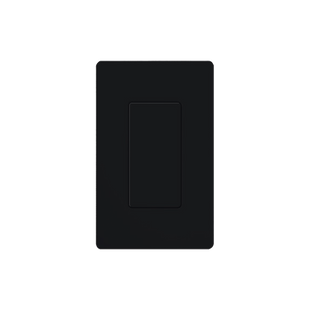 Placa ciega color negro.