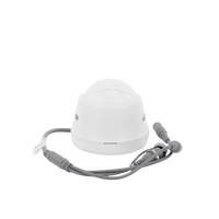 Turret TURBOHD 2 Megapíxel (1080p) / Imagen a color 24/7 / Lente 2.8 mm / Policarbonato / Luz Blanca 20 mts / Interior / Microfono Integrado / TVI-AHD-CVI-CVBS / dWDR